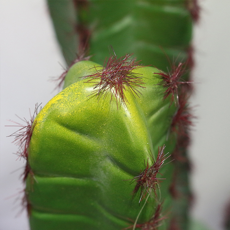 77cm-Three-Headed-Plantas-Cactus-Y-Suculentas-Columnar-Cactus-for-Cheap-Artificial-Greenery (4).jpg 